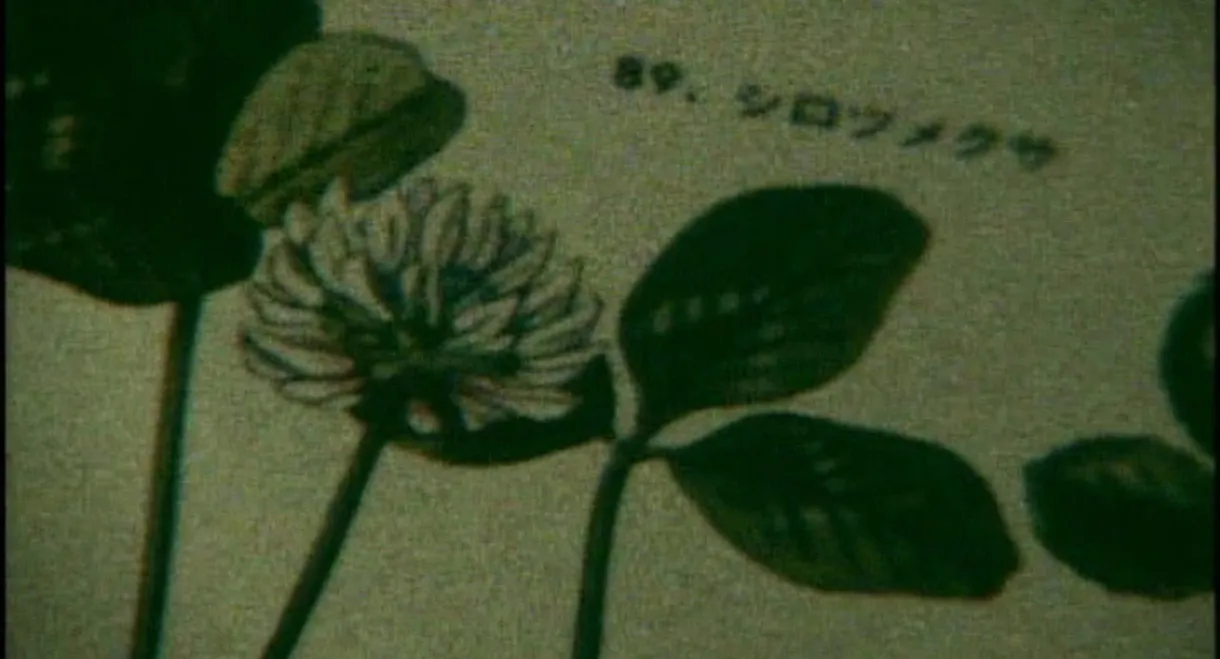 Life Can Be So Wonderful