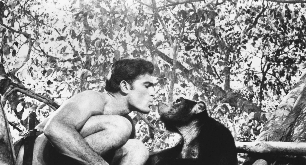 Tarzan and the Valley of Gold