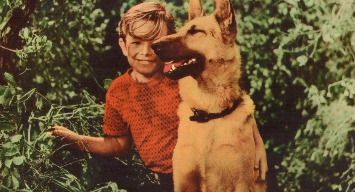 A Dog's Best Friend