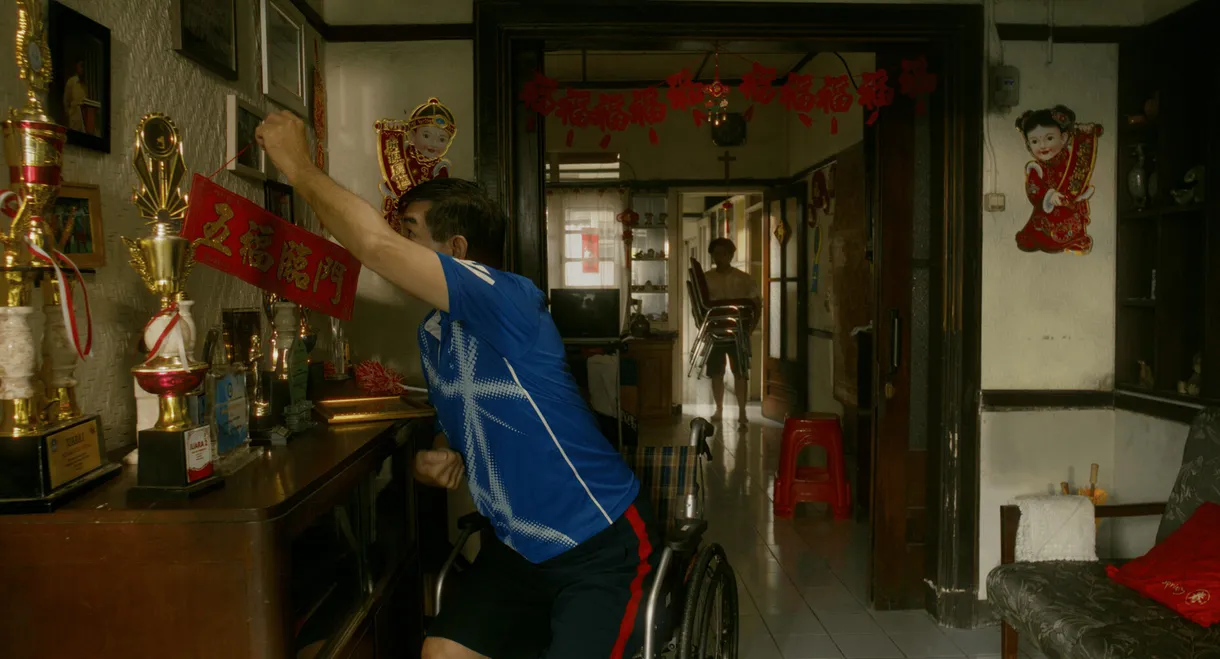 Rusa Jantan Yang Kehilangan Tanduknya