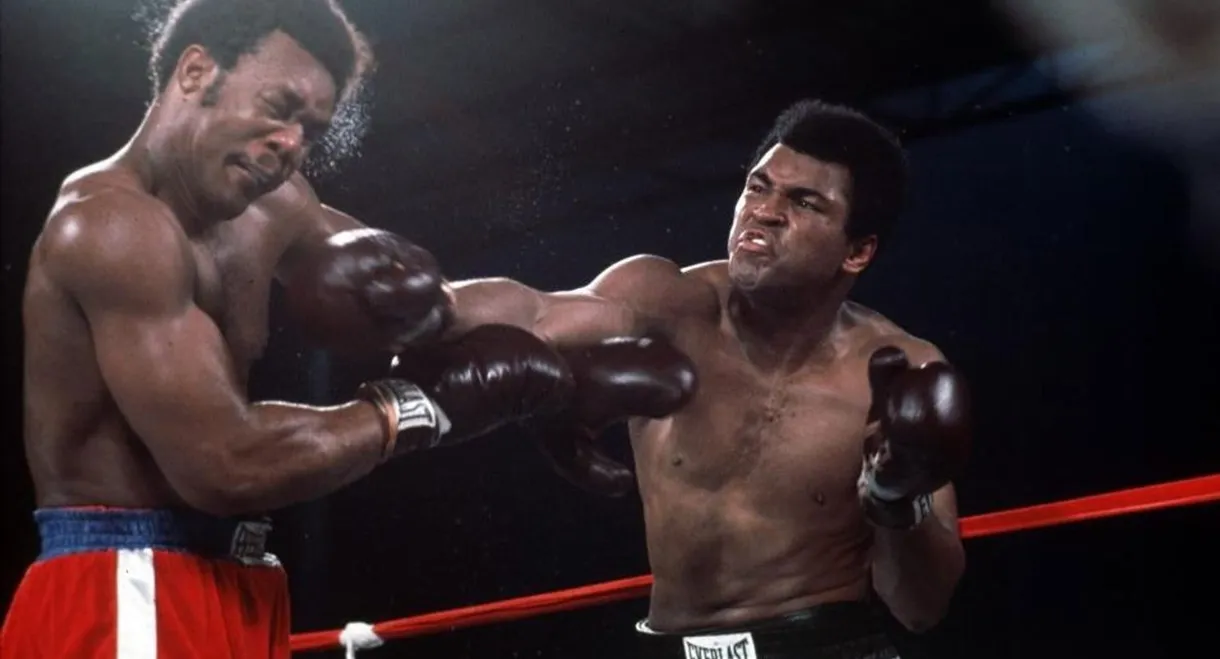 Rumble in the Jungle