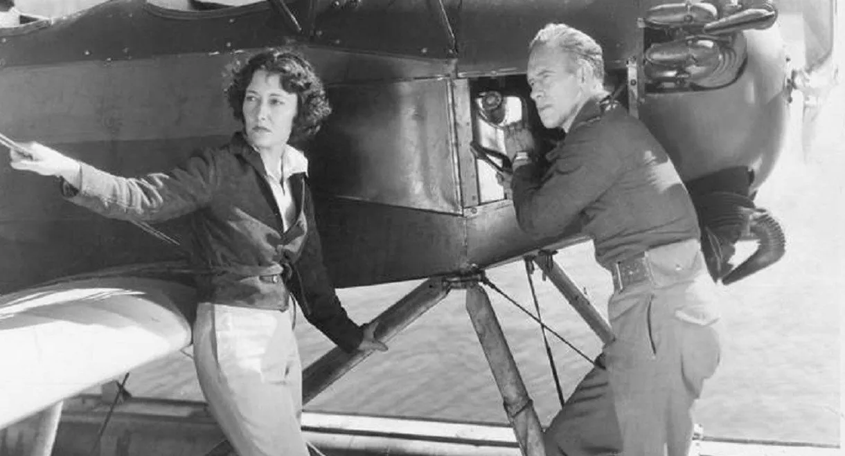 The Mysterious Pilot