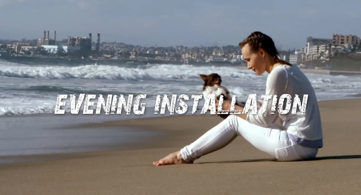 Evening Installation