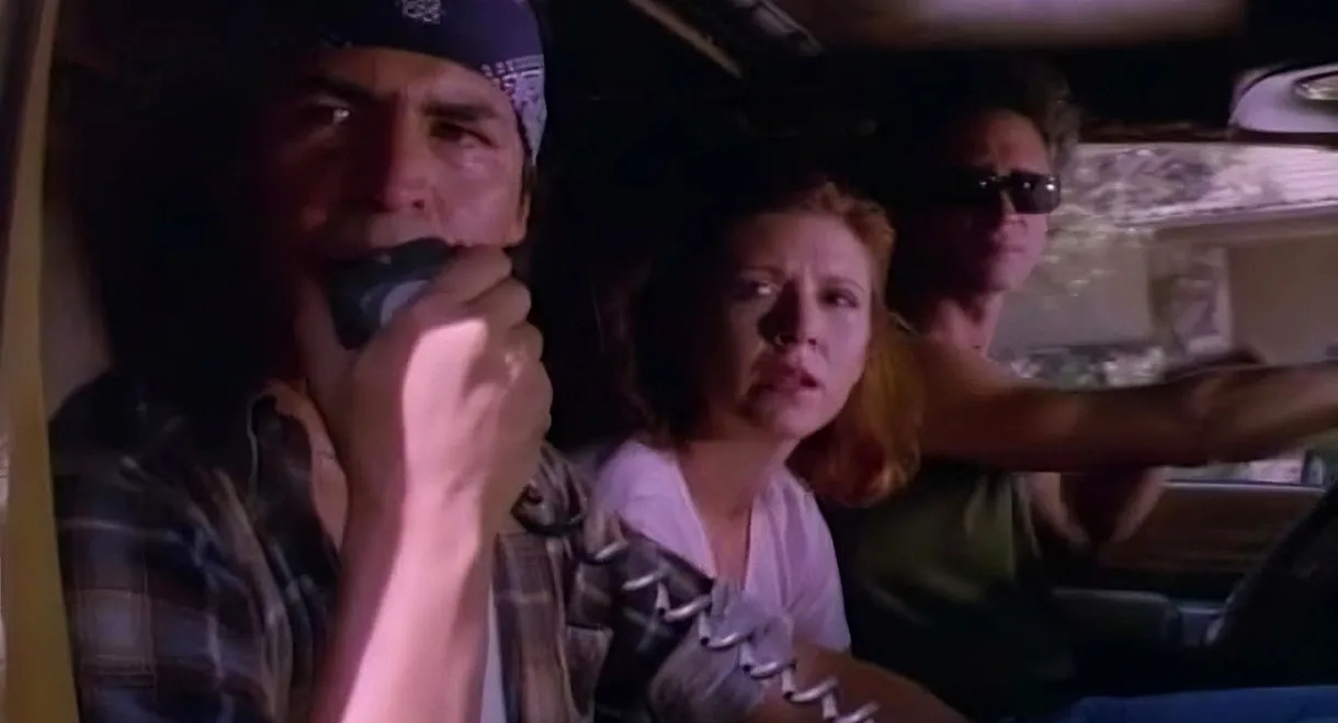 Hollywood Vice Squad