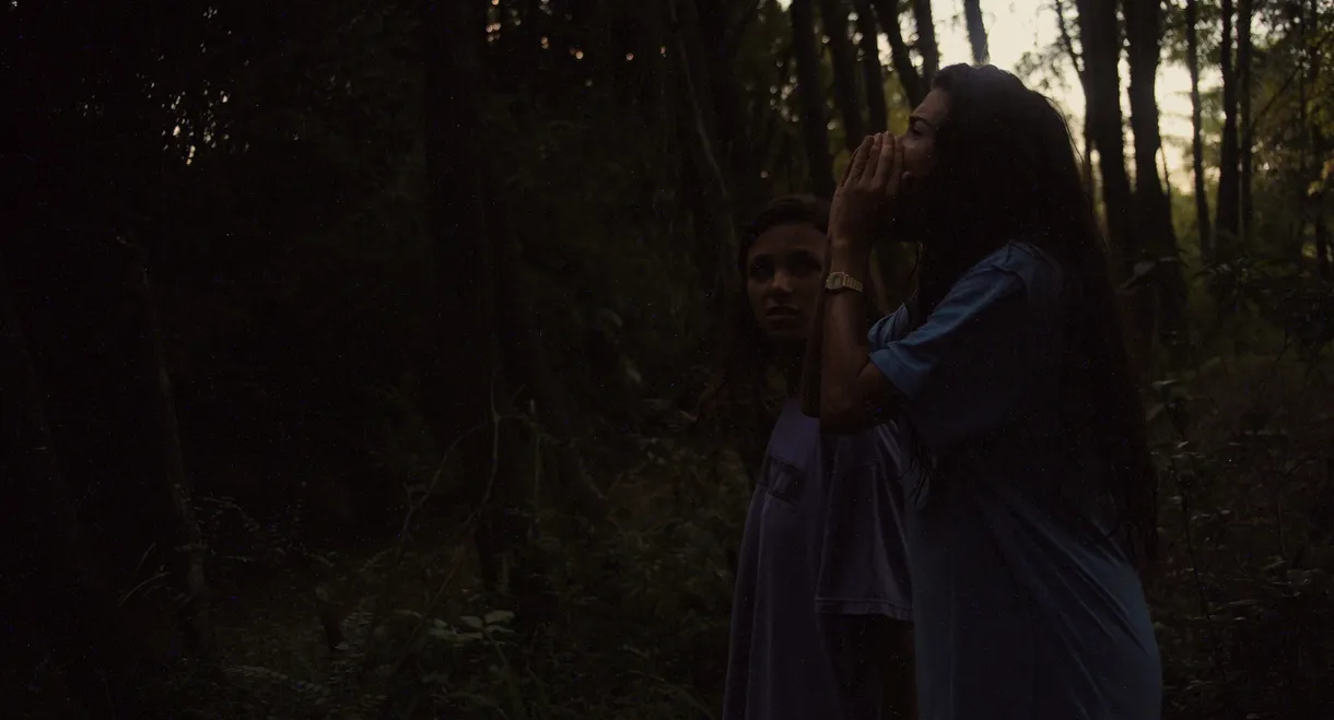 Las Posibilidades de una Isla