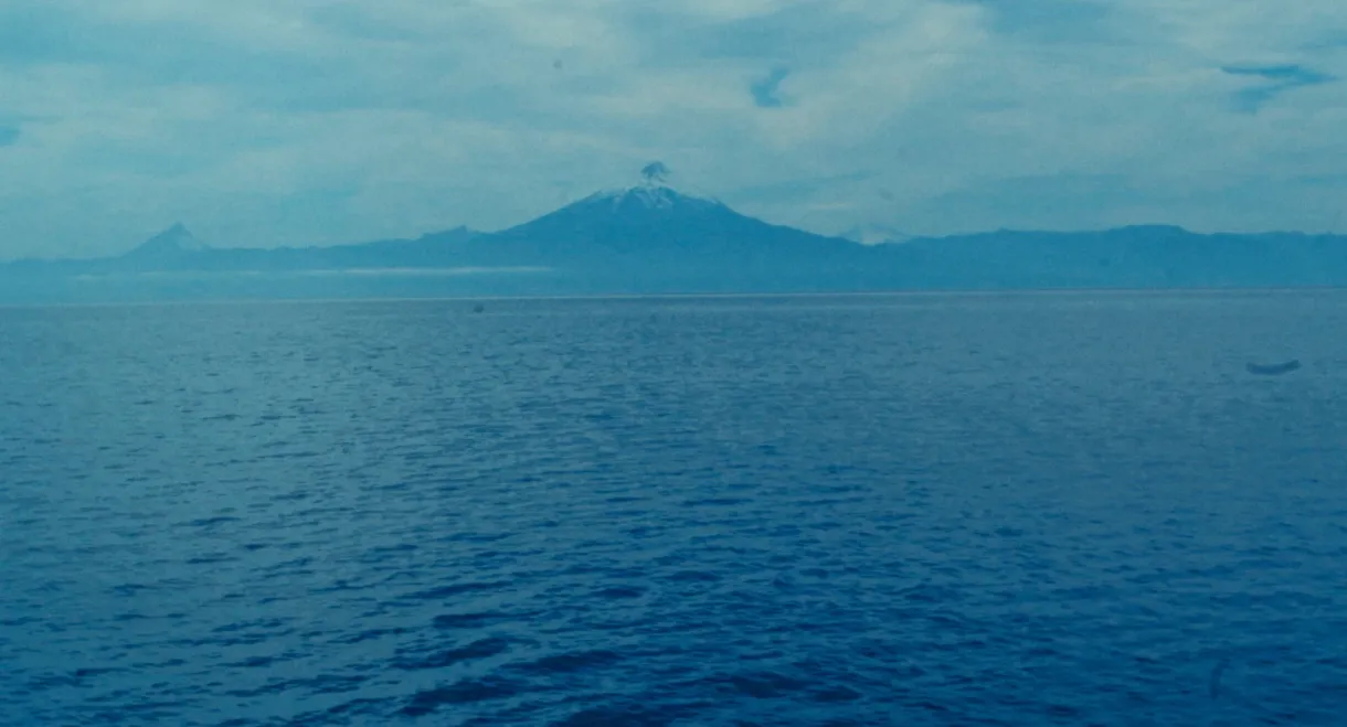 A Letter For Raoul Ruiz