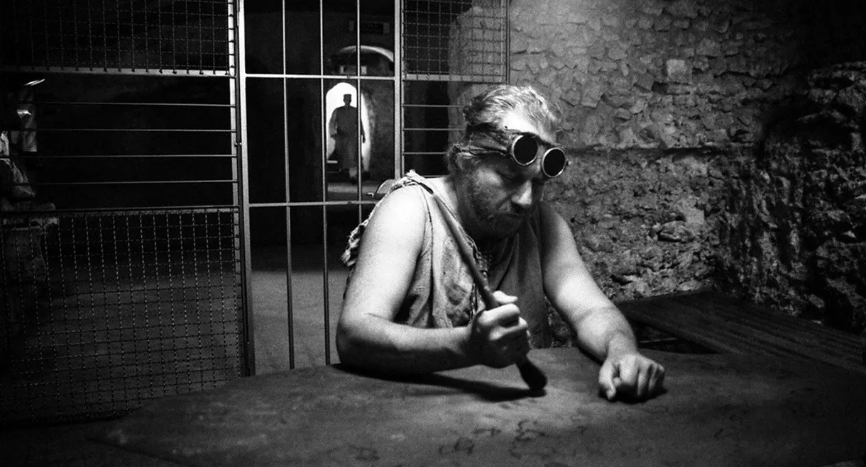 Il ronzio delle mosche