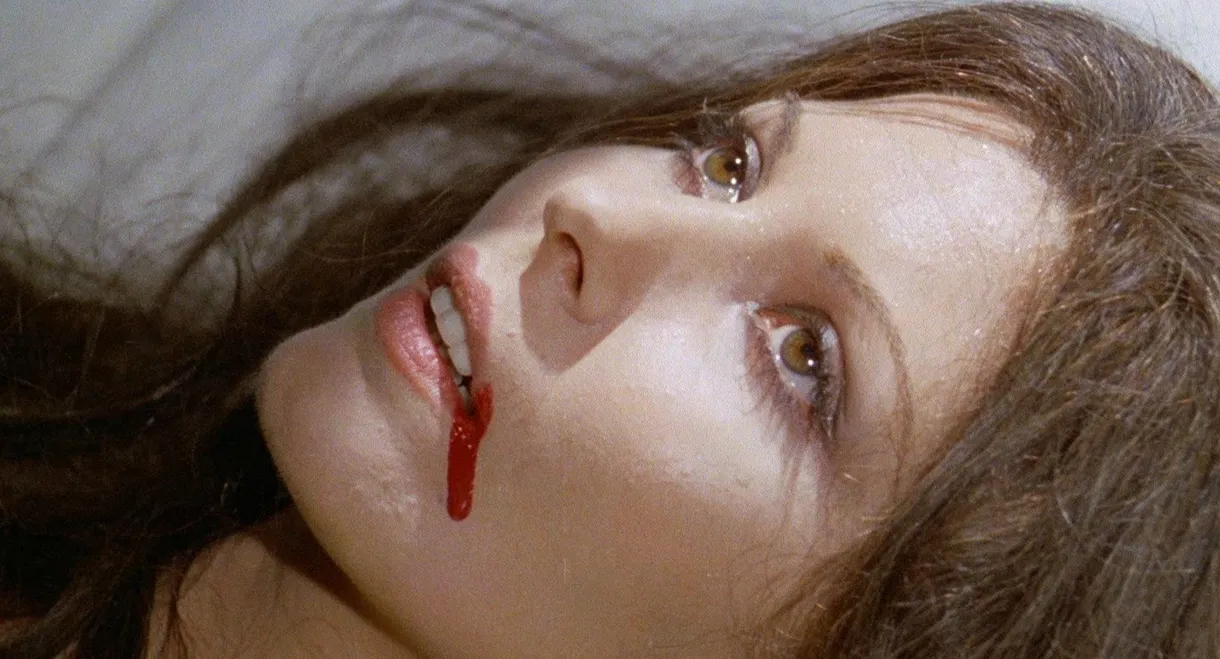 All the Colours of the Dark