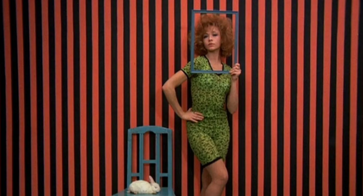 WR: Mysteries of the Organism