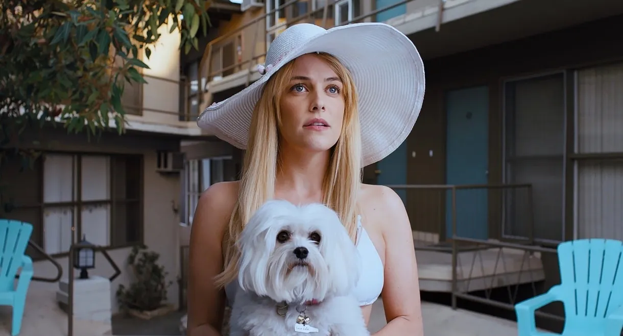 Under the Silver Lake