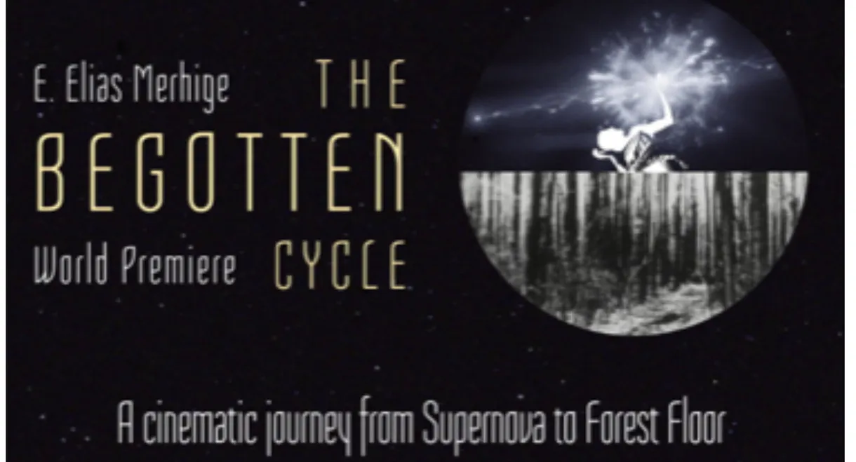 The Begotten Cycle