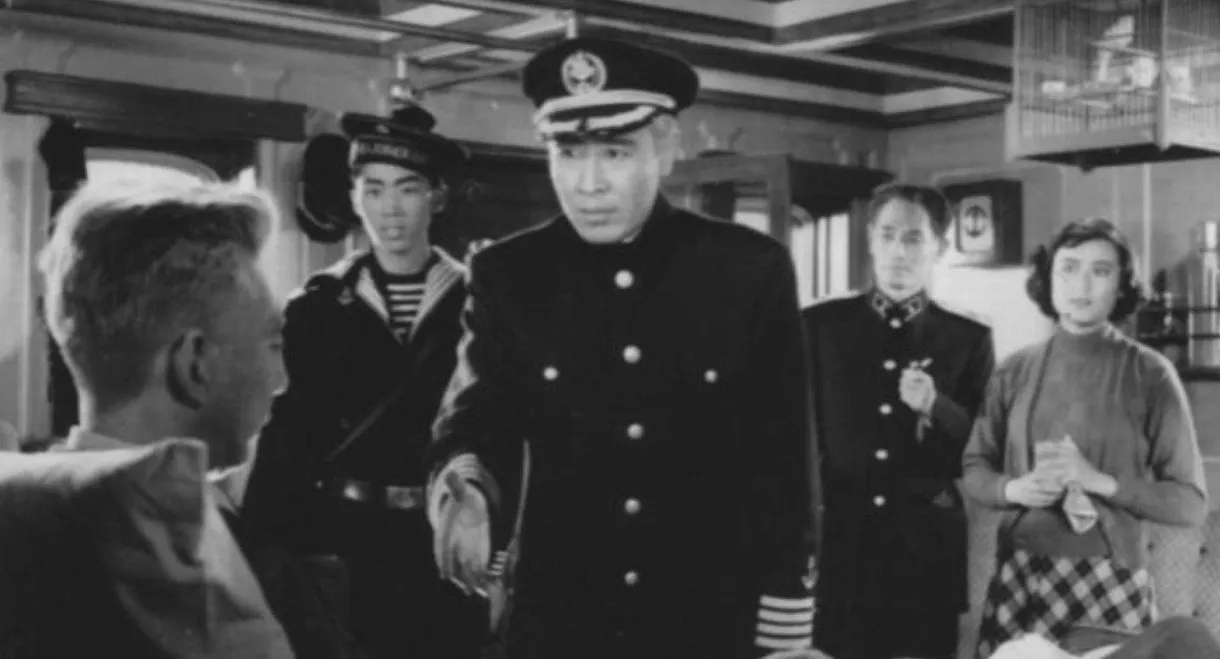 Voyage in the Misty Night