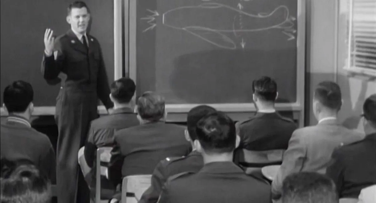 Sentinels in the Air