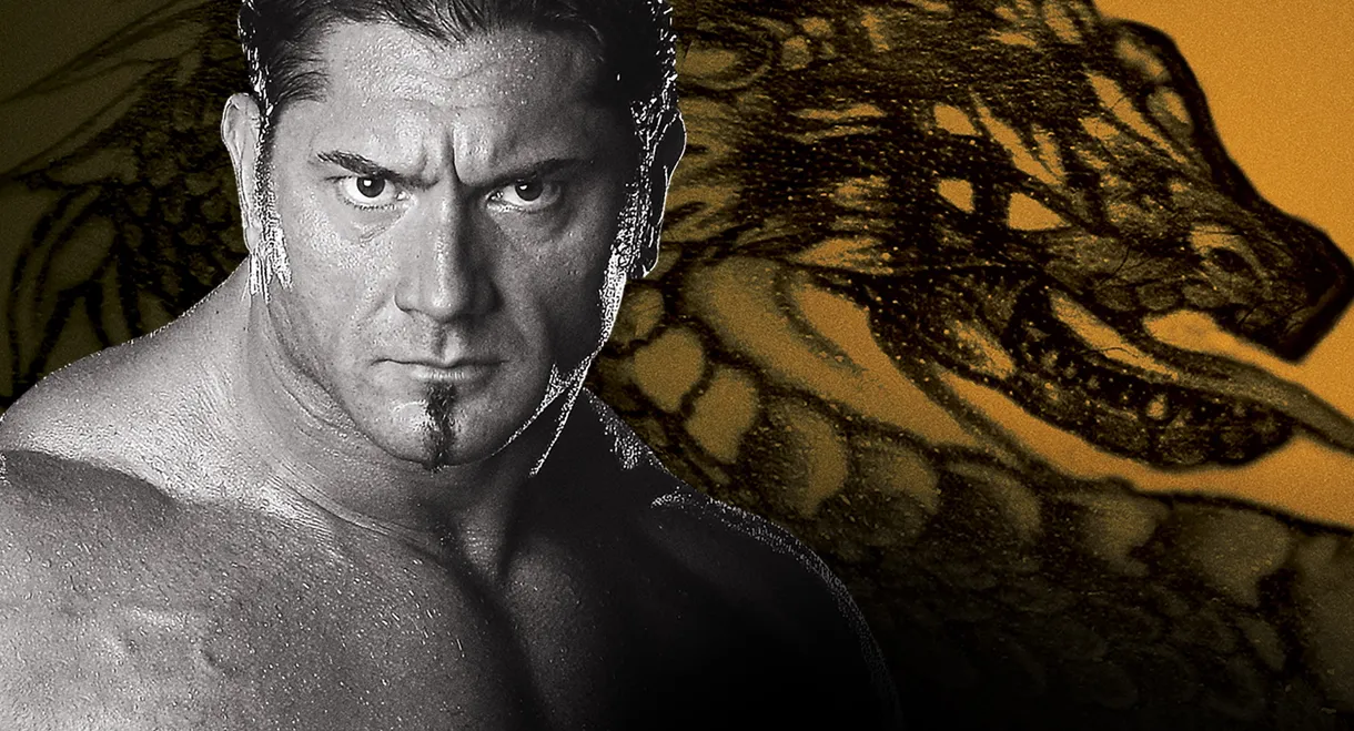 WWE New Year's Revolution 2005