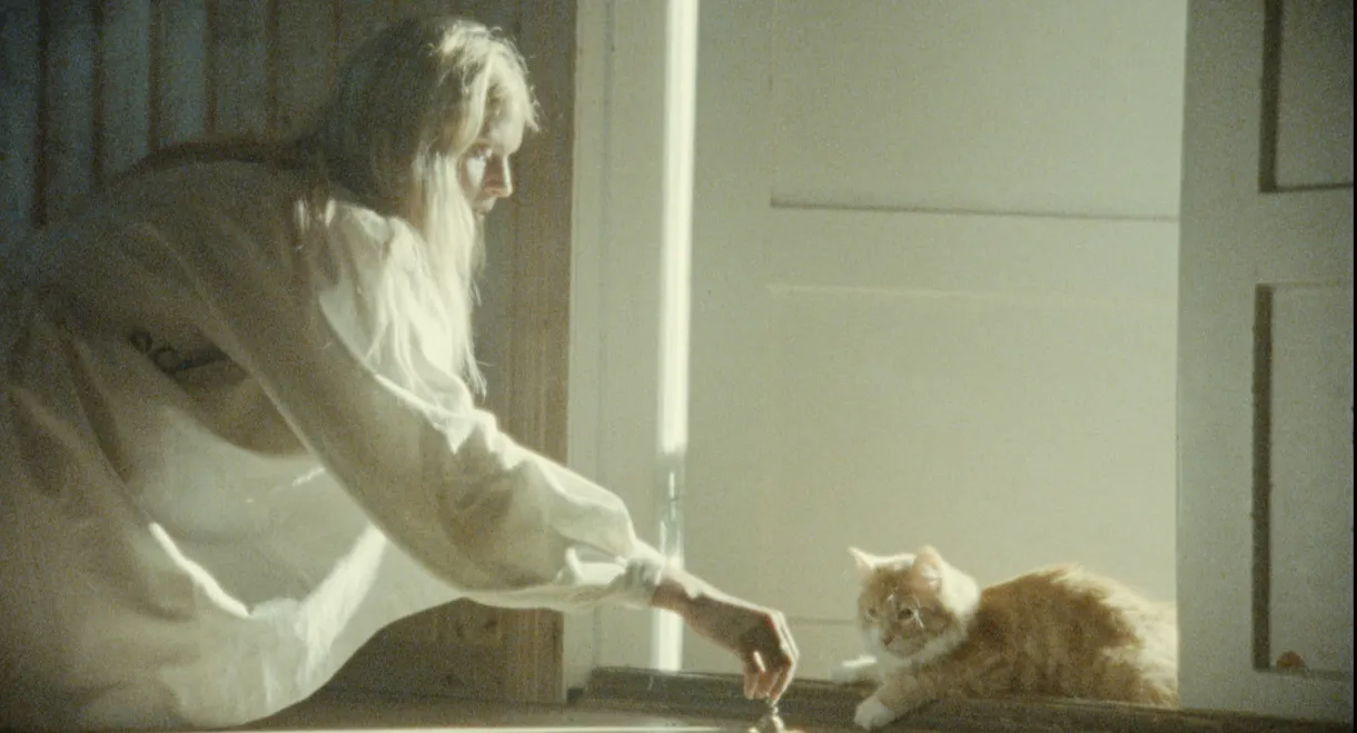 Keskiyön auringosta ikuisuuteen