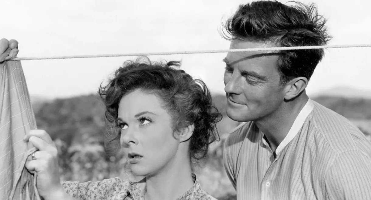 I'd Climb the Highest Mountain