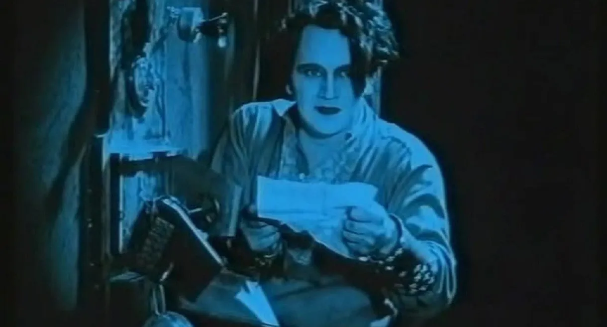 What's Going on in Beely Circus?