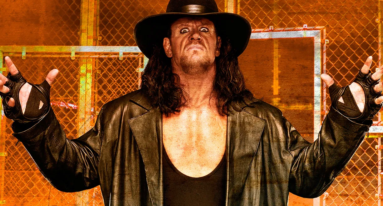 WWE Hell in a Cell 2009