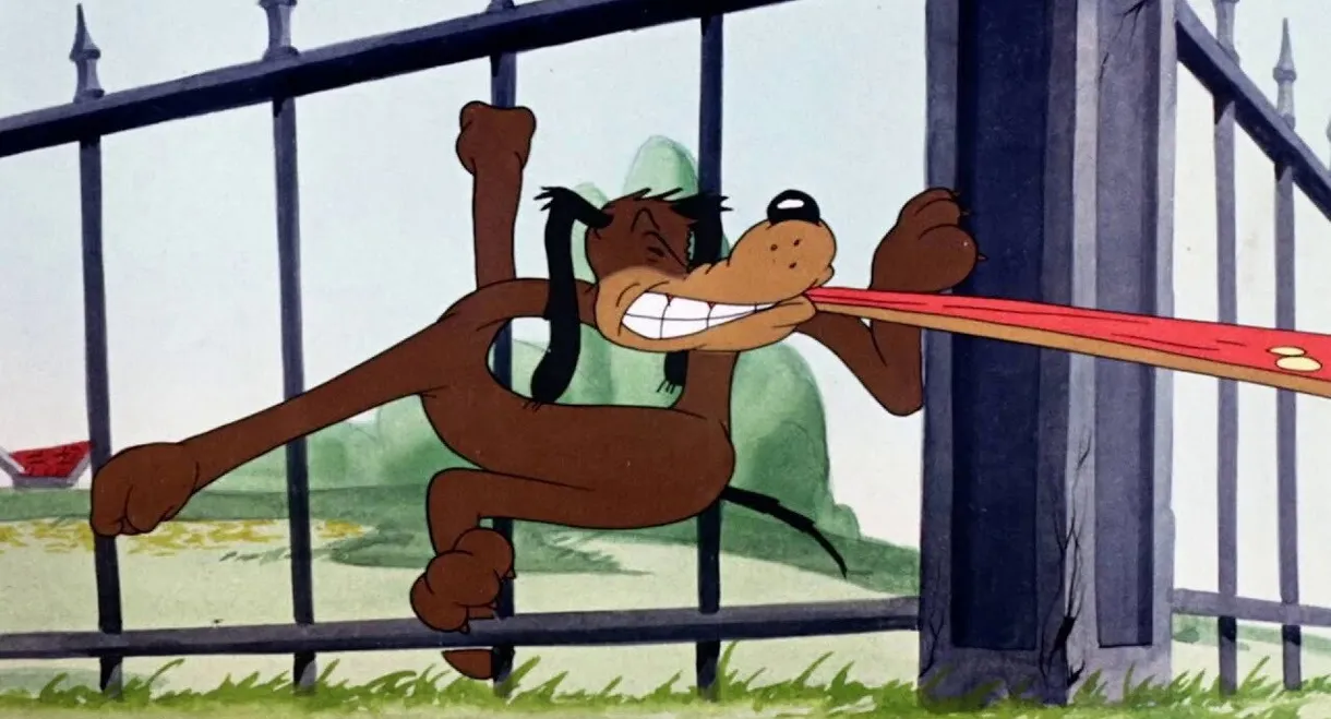 Behind the Meat-Ball