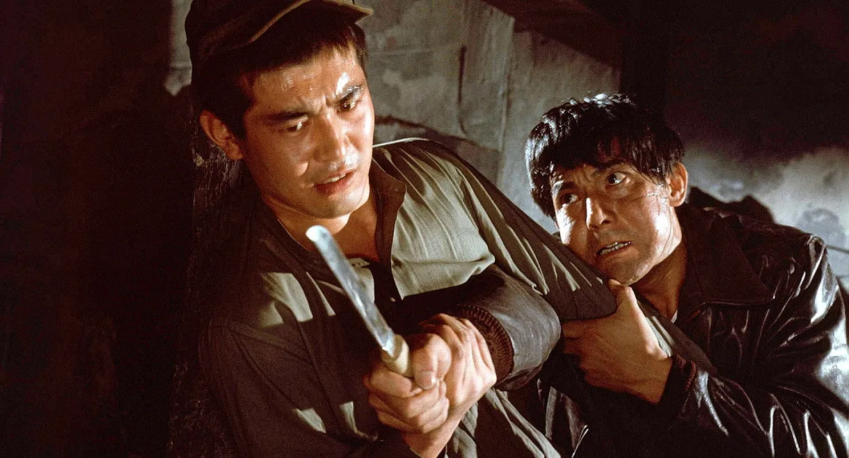 The Aftermath of War