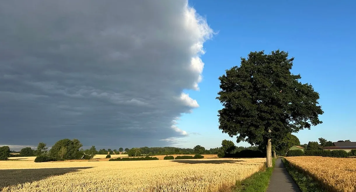 Extreme Weather: Drought and Heavy Rain