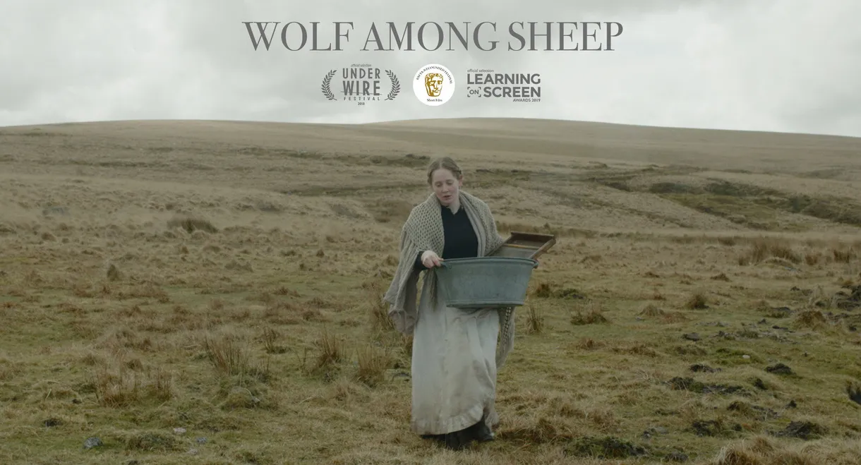 Wolf Among Sheep