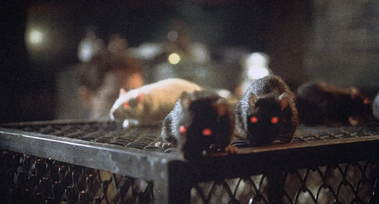 Rats: Night of Terror