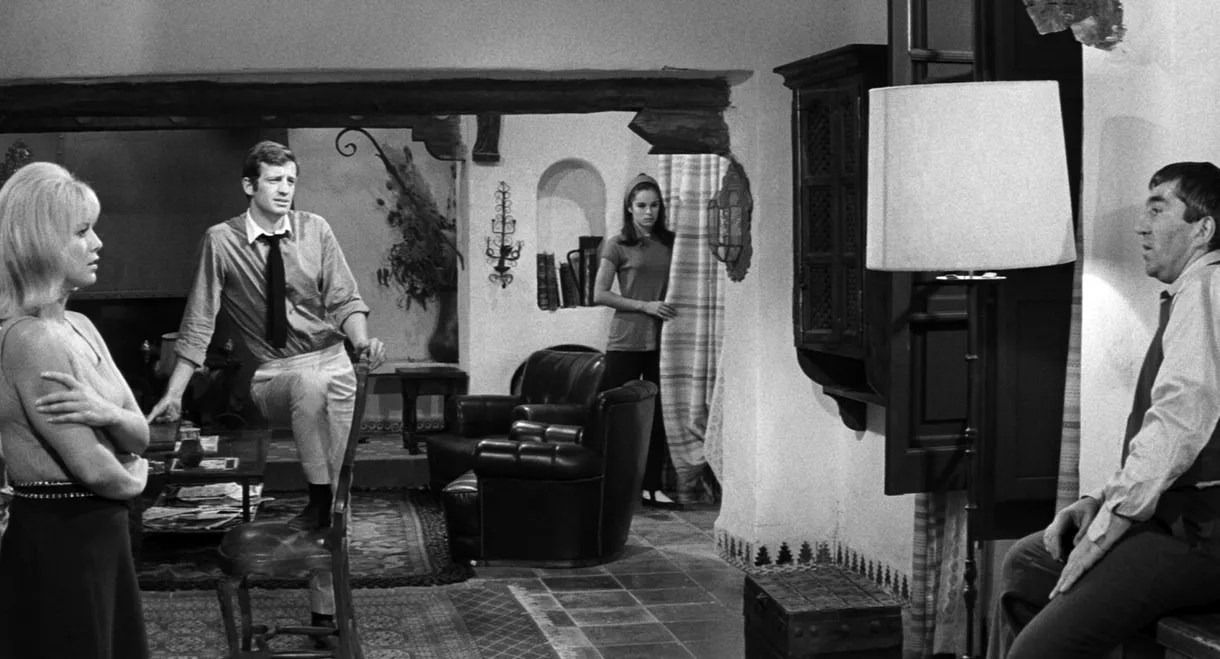 Crime on a Summer Morning