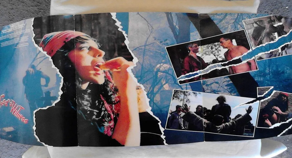 Gardens of Athos - Transfiguration