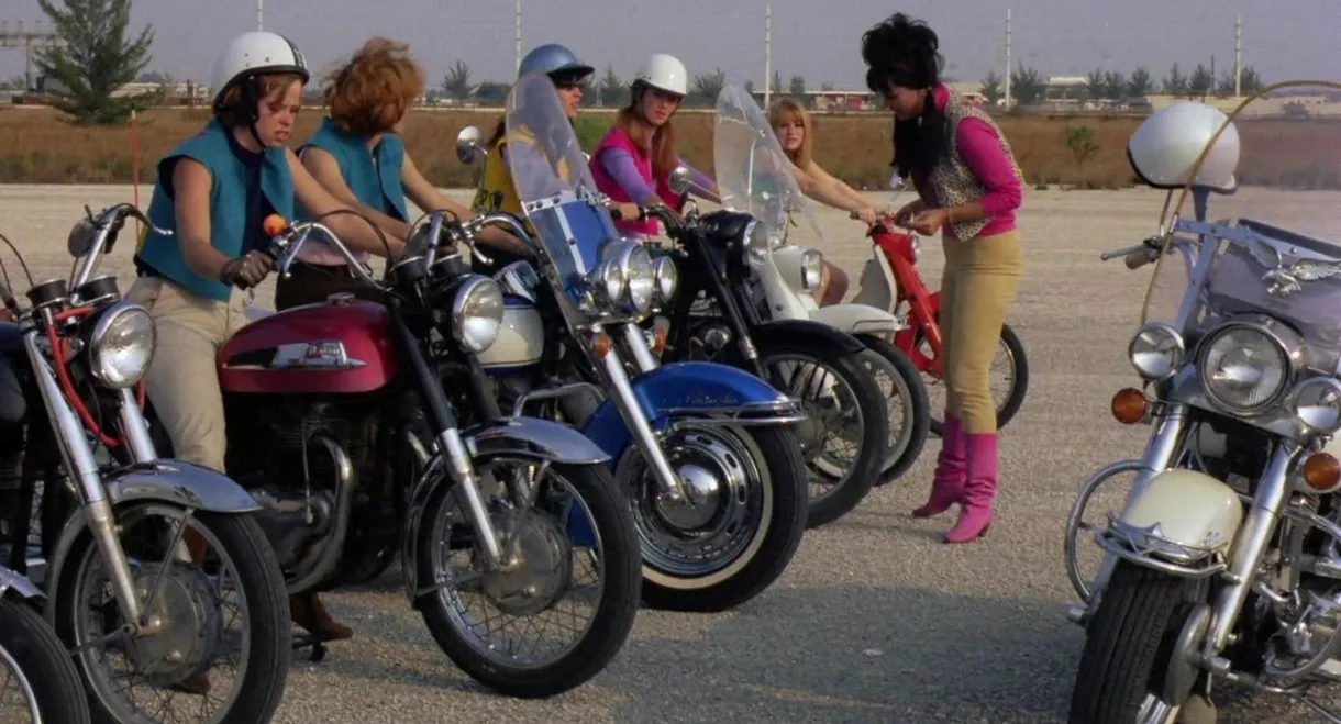 She-Devils on Wheels