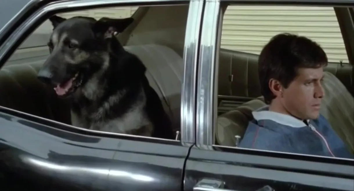 The Birthday of the Dog