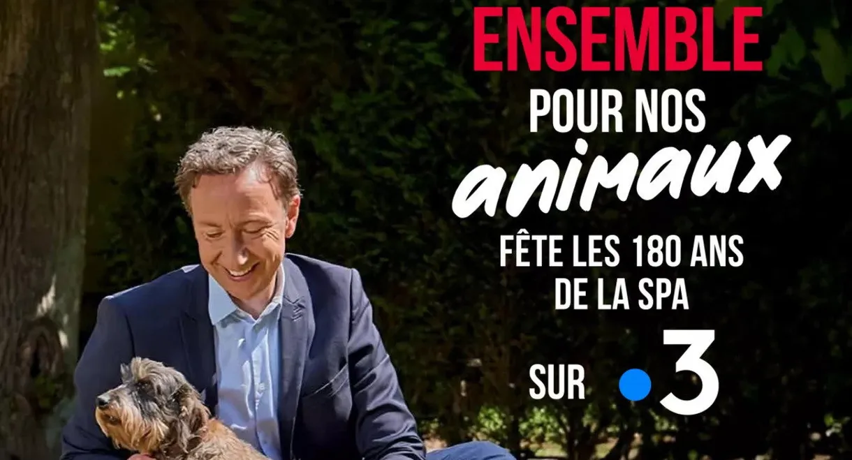 Ensemble pour nos animaux - fête les 180 ans de la SPA