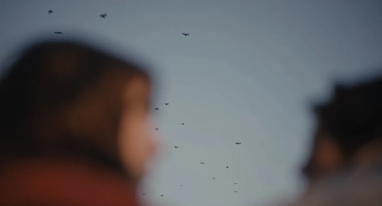 Five Seconds Flat, the Film