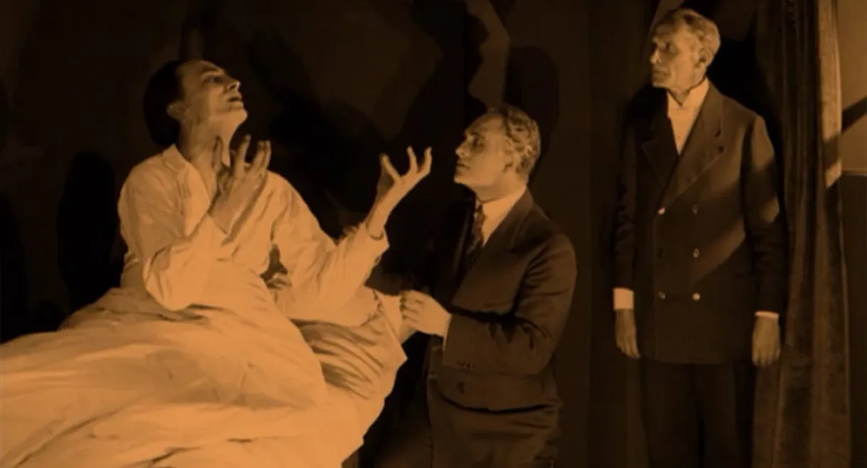 Journey into the Night