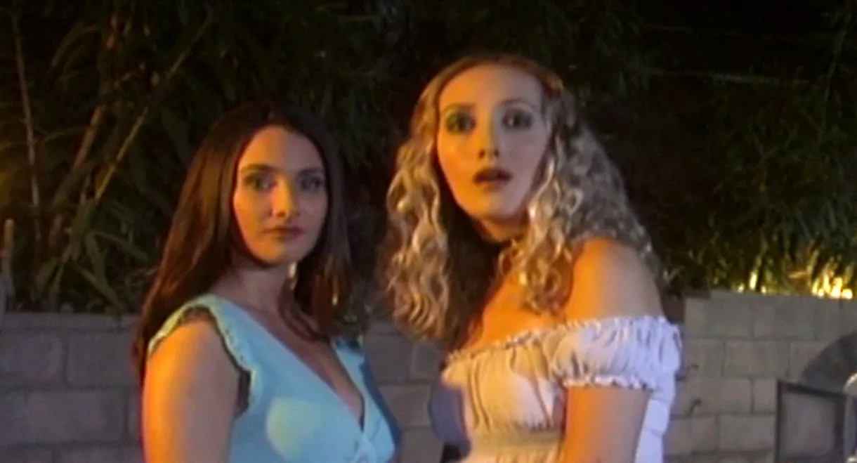 The Boneyard Collection