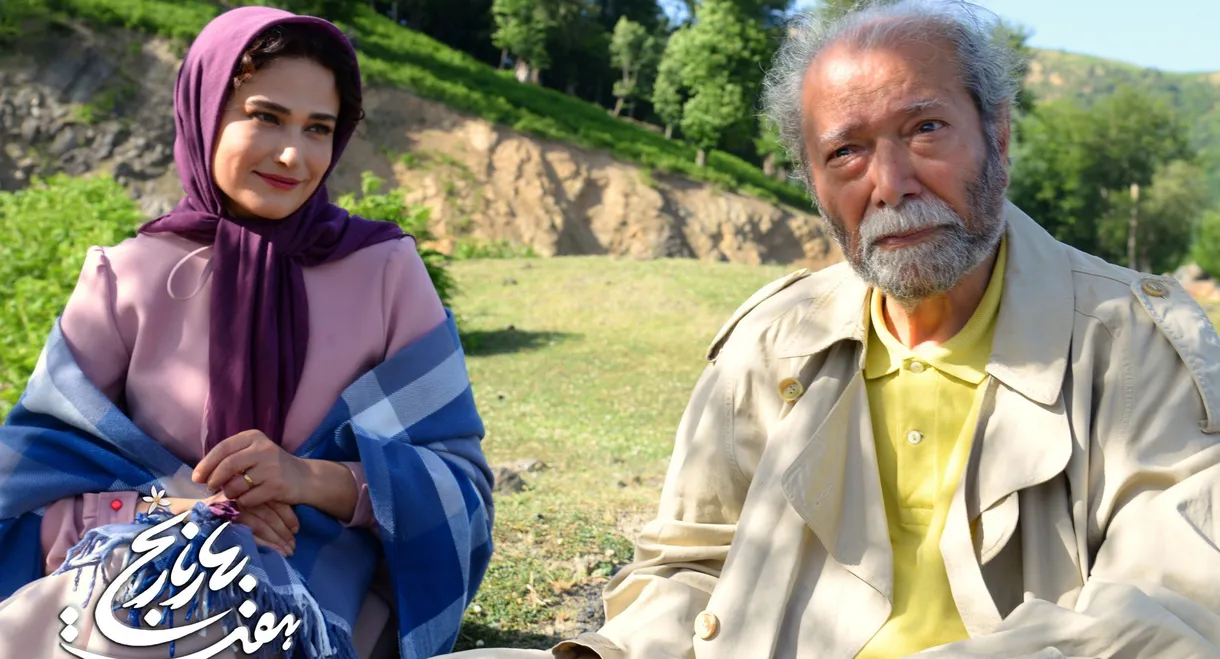 Seven Citrus Aurantium