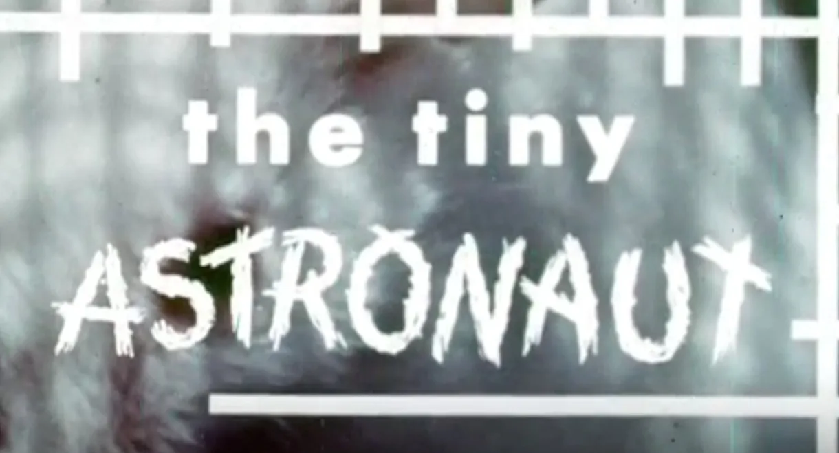 The Tiny Astronaut