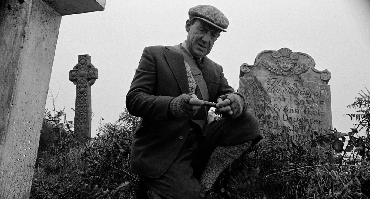 Whistle and I'll Come to You