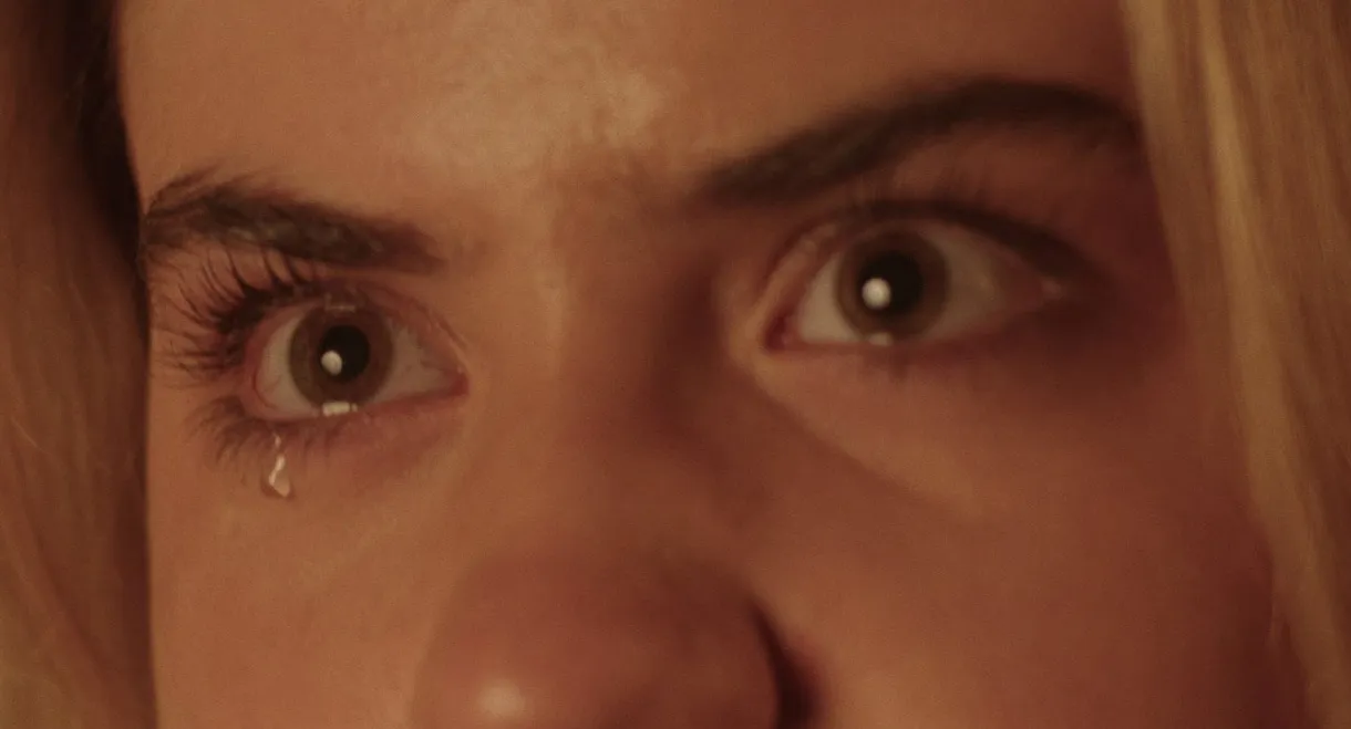 The Pilgrim's Ballad