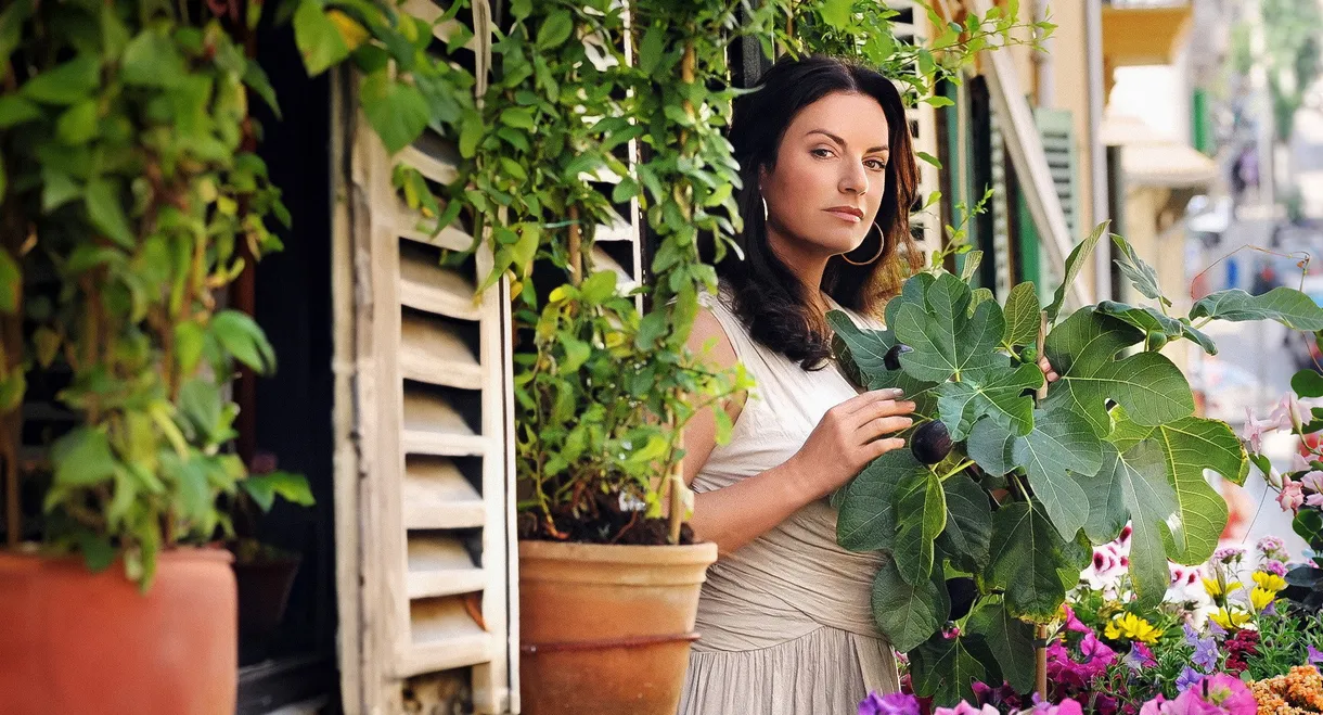 Bella und der Feigenbaum