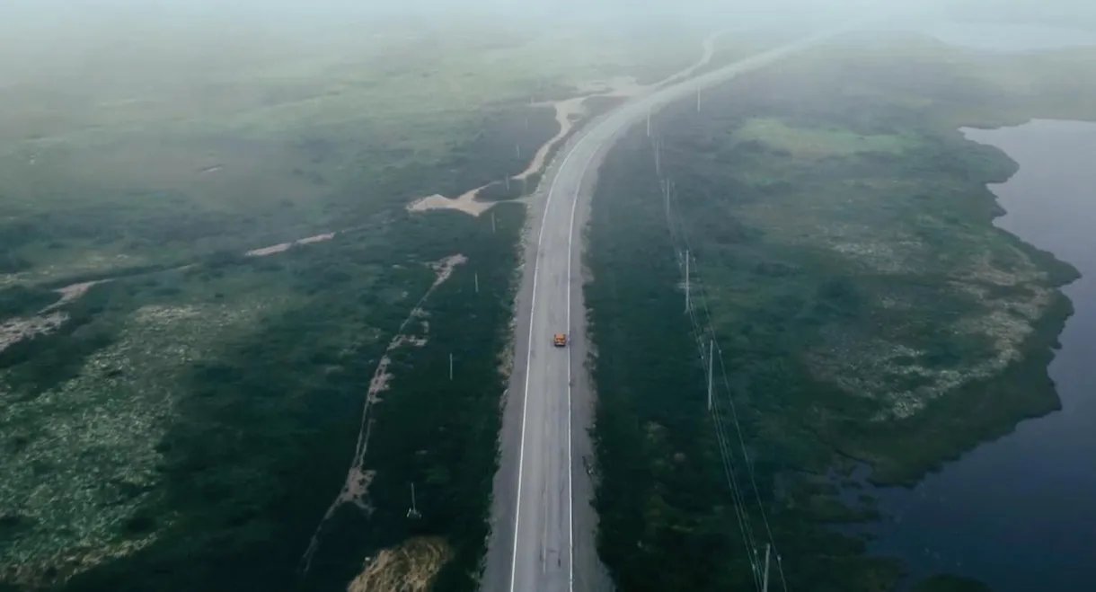 Blueberries for Iris