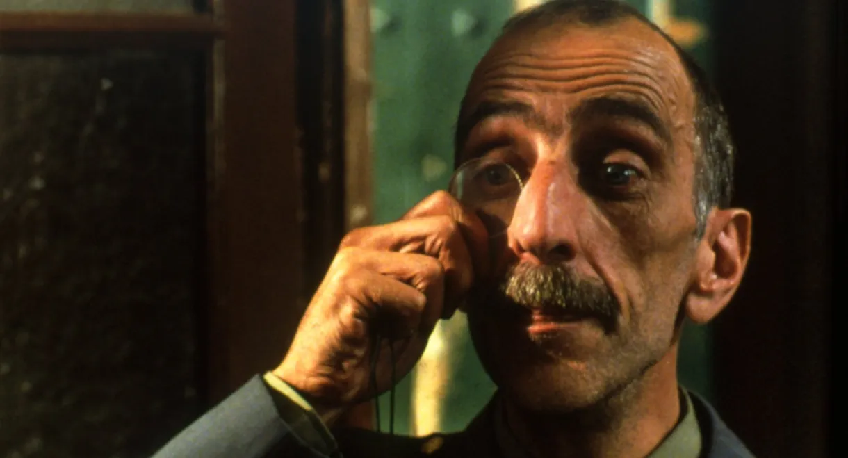 Recollections of the Yellow House