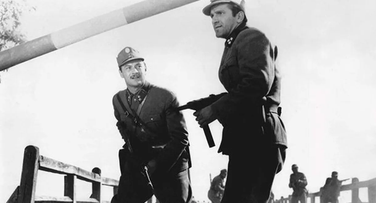 Signal Over the City