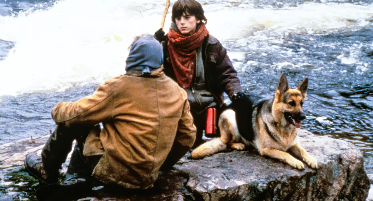 Escape from Wildcat Canyon