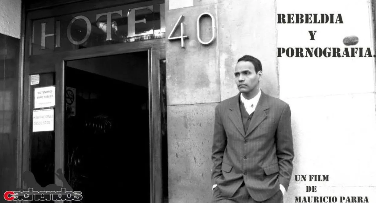 Rebeldía y pornografía