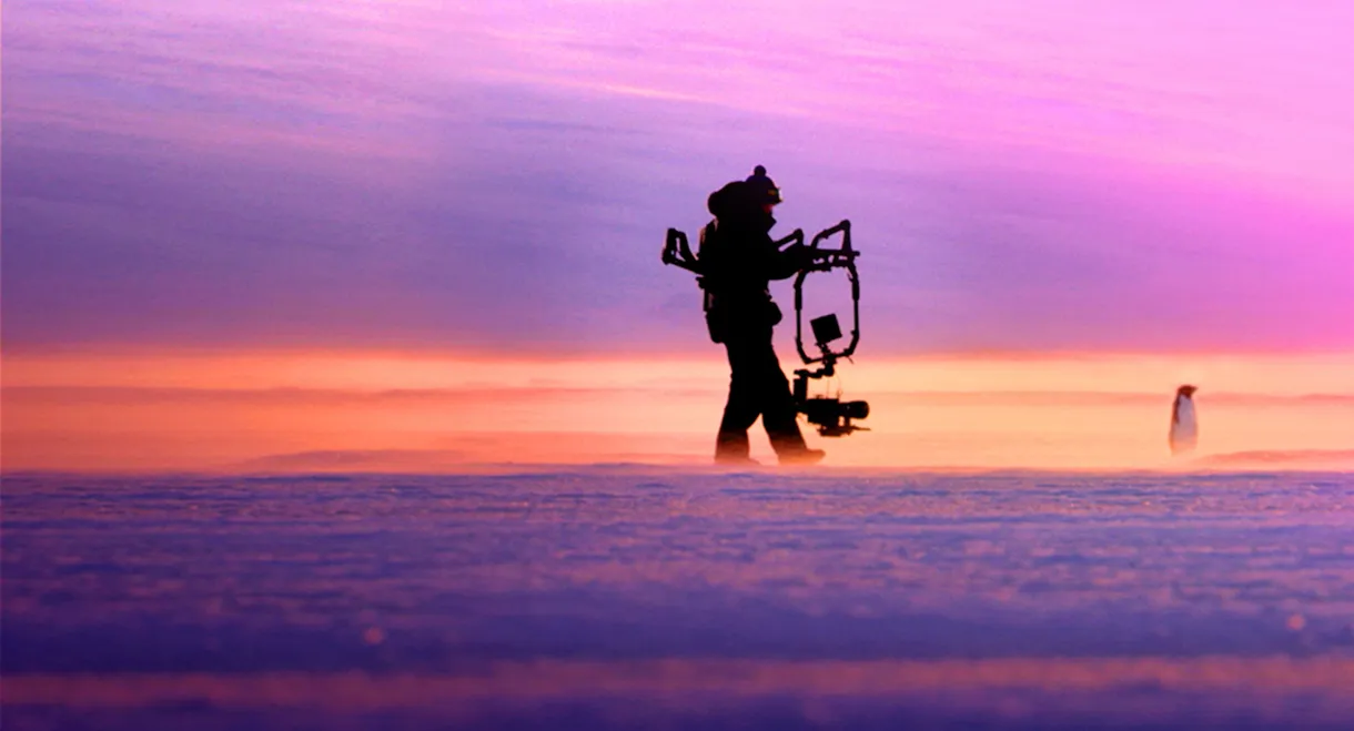 Penguins: Life on the Edge