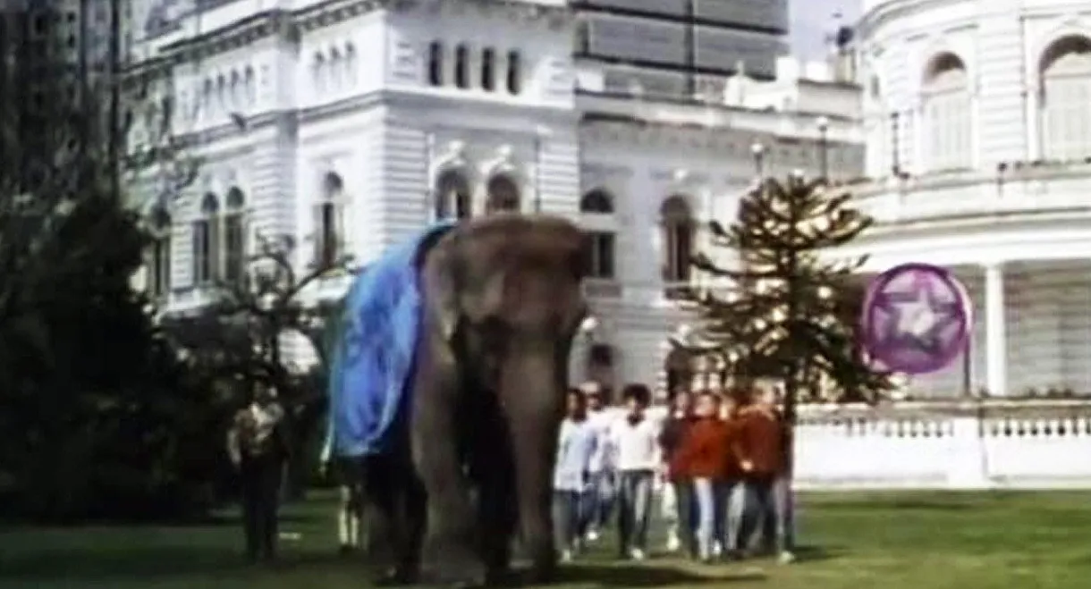 Un elefante en banda