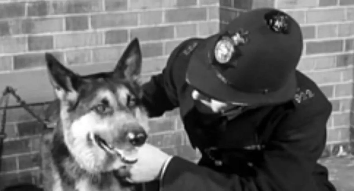 Police Dog