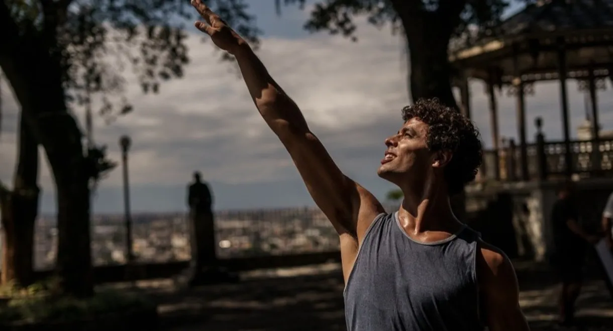 A Wolf Among the Swans