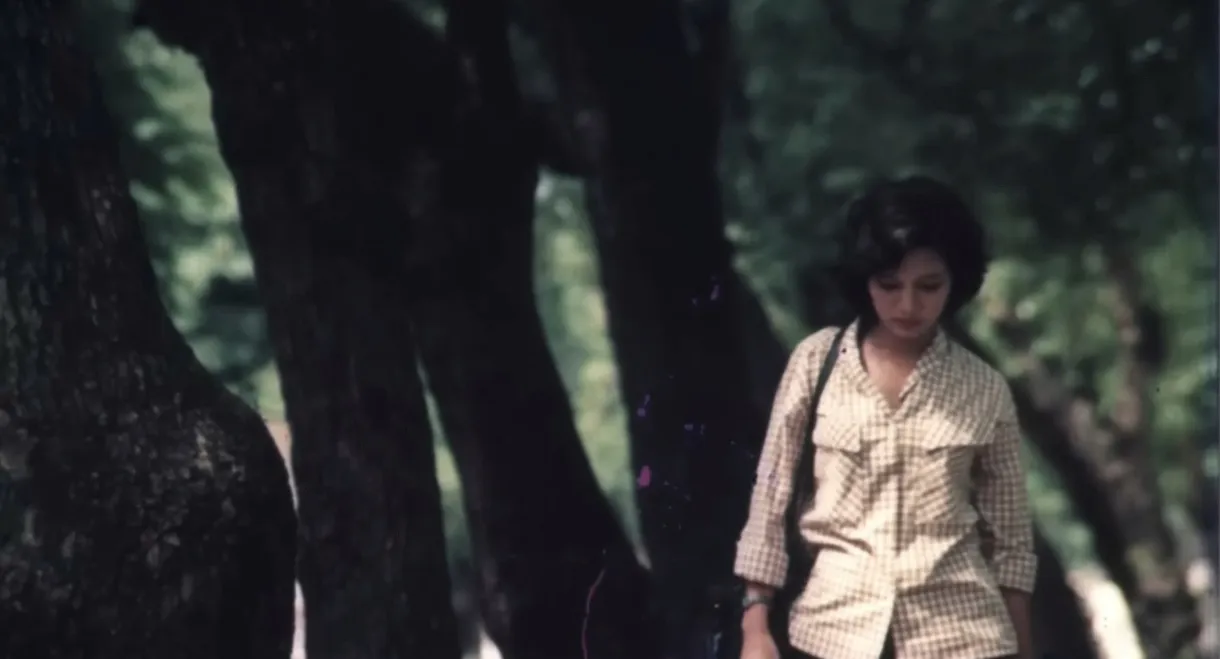 The Girl on the River